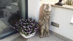 Bilder neu 1604